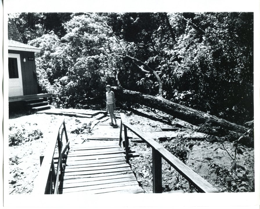 Windstorm 1973  Cedar Cabin and walkway